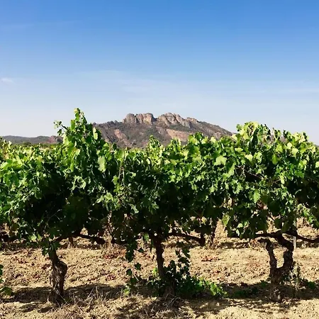 Maisonnette Les Roches Rouges Apartmán Roquebrune-sur Argens
